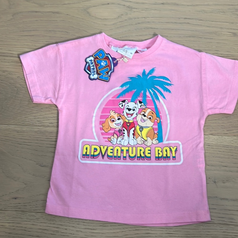 BNWT Zara x Nickelodeon Paw Patrol Size 9-12m T-Shirt